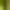 Green, variant on Bombay Home Refuge Linked Multiple Area Rug or Runner
