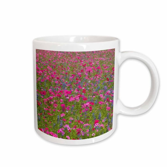 3drose, Paintbrush, Bluebonnets, Brenham Texas - Us44 Dgu0181 - Darrell Gulin, 15oz Mug