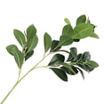 thumbnail image 3 of High Watercress Greenery for Lifelike Home and Garden Decorative Landscaping, 3 of 5