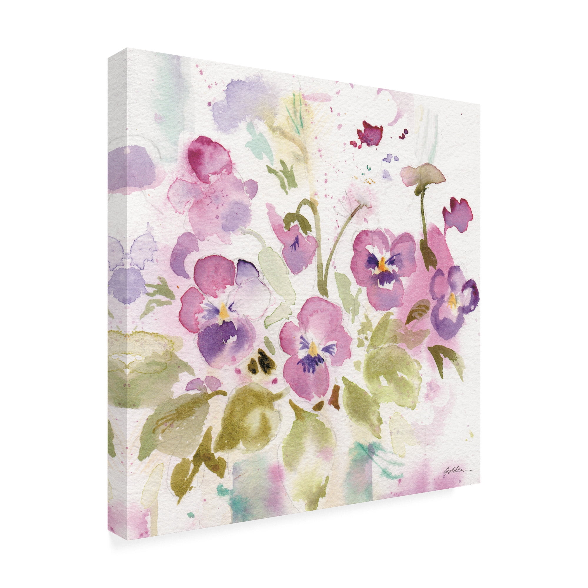 Trademark Fine Art 'Viola Impressions' Canvas Art by Sheila Golden