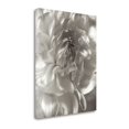 thumbnail image 2 of Tangletown Fine Art Florison - 18 by Alan Blaustein Poster Frame - 45 x 35 x 1.5 in., 2 of 2