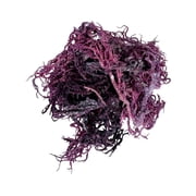Dried Purple SeaMoss 3oz | Direct ocean to you | Makes 60oz sea moss gel