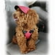thumbnail image 5 of Gorro Para El Sol Para Perros, Gorra Para Mascotas Al Aire Libre, Suministros Para Mascotas Encantadores Y Cómodos Vogacara PT002649-01, 5 of 6