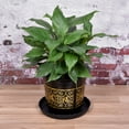 thumbnail image 5 of Unique Bargains 9' Plastic Wave Round Plant Pot Saucer Flower Drip Tray, Black 4 Pack, 5 of 5