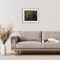 thumbnail image 3 of Stupell Industries Rustic Lodge Black Greyhound Portrait Birch Framed Print Under Glass, 16 x 13, by George Dyachenko, 3 of 8