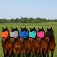 thumbnail image 2 of Máscara antimoscas para caballo Yuuigar con protección UV, transpirable y ajustable, 2 of 9