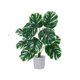 thumbnail image 2 of Artificial Monstera Deliciosa Bonsai Indoor Artificial Plants Desktop Ornament Suitable For Home Decoration In Living Rooms Offices And Bedrooms, 2 of 6