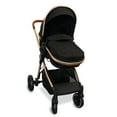 thumbnail image 4 of Bily Forward-Facing or Parent-Facing Convertible Stroller - Black & Gold, 4 of 6
