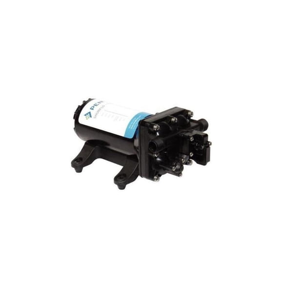 Bomba de lavado Shurflo de Pentair PRO Blaster™ II Deluxe 12 V