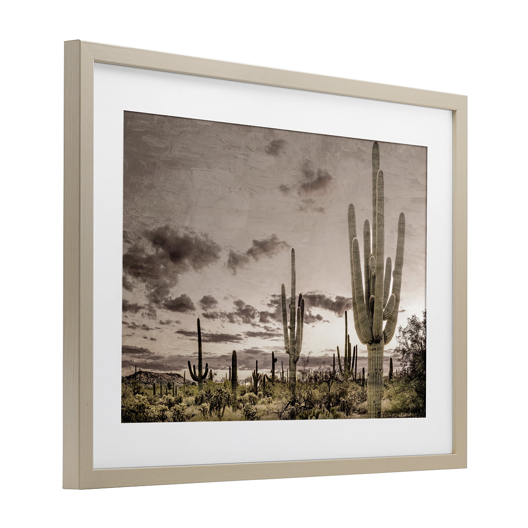 Stupell Industries Desert Sky Wilderness Birch Framed Print Under Glass, design by Kim Allen