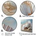 thumbnail image 3 of Designart "Pure Shell Simplicity I" Seashell Floater Framed Canvas Wall Art, 3 of 5