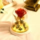 thumbnail image 2 of Lámpara De Flor De Rosa Cubierta De Vidrio Flor De Rosa Con Luz Led Decoración Del Hogar Para El Día De San Valentín Día De Navidad Yuarrent HA021309-00, 2 of 6