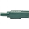 thumbnail image 5 of Tripp Lite 2ft Heavy-Duty Computer Power Cord (IEC-320-C14 to 320-C15), Green, 5 of 5
