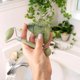 thumbnail image 5 of Set Facial EcoTools Jade Verde 100% Jade para Cuidado de la Piel, 5 of 9