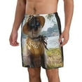 thumbnail image 2 of Balery Cat In Sun Hat Traje de Baño Estilo Hawaiano para Hombre, Shorts de Secado Rápido con Bolsillos-3X-Large, 2 of 6