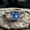 Black Vermeil, variant on Blue Star Sapphire Ring – Natural Asterism Sterling Silver, Fine Jewelry Oval Cut Gemstone Ring for Special Occasions Black Vermeil 7.5