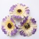 thumbnail image 2 of Cabeza de flores artificiales 10 piezas Cabeza de margarita falsa de real para boda DIY Púrpura Sunnimix Cabeza de flor artificial de la margarita, 2 of 8