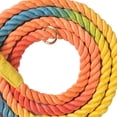 thumbnail image 4 of Dog Handcrafted Dog Leash Multifunctional Double Head Braiding Dog Training Leash with Gold Accessories for Running, 4 of 5