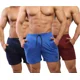 thumbnail image 2 of 3 Short Medio Deportivo De Hombre, Gym O Casual Fénix Fit., 2 of 6