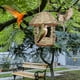 thumbnail image 4 of Casita Para Pájaros Tejida a Mano, Refugio Colgante De Hierba Natural Para Aves Silvestres, Decoración Para Jardín, Comedero, Nido Para Pájaros Pequeños, Decoración Para Porche., 4 of 7