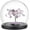 Shape04, variant on Glass Dome Cover Decorative Display Case Cloche Bell Jar Terrarium with Wood Base Black 125x115mm