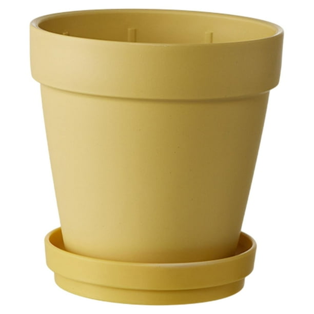 Maceta con platillo para cactus, maceta de interior resistente para plantas suculentas Amarillo