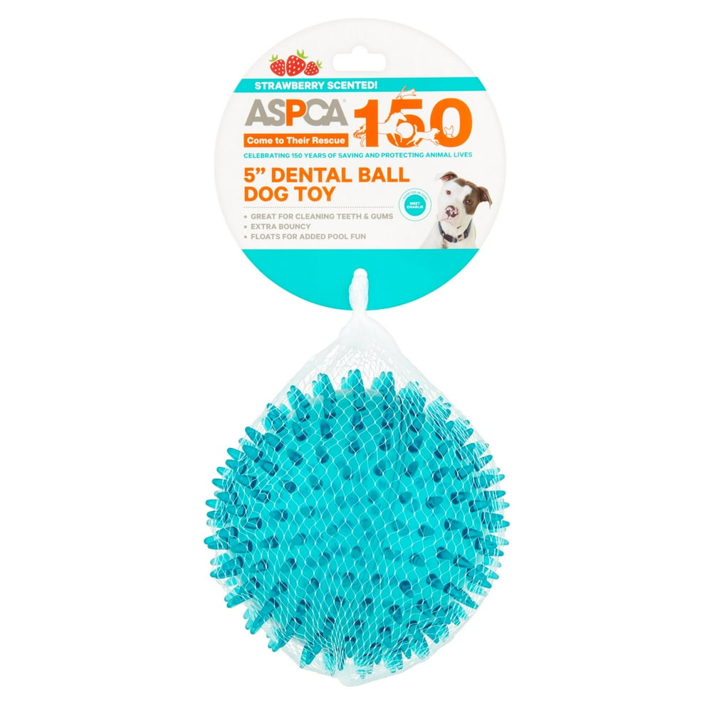 ASPCA 5" Dental Ball Dog Toy