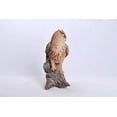 thumbnail image 4 of Hi-Line Gift Ltd Great Horned Owl on Stump, 145", 4 of 4