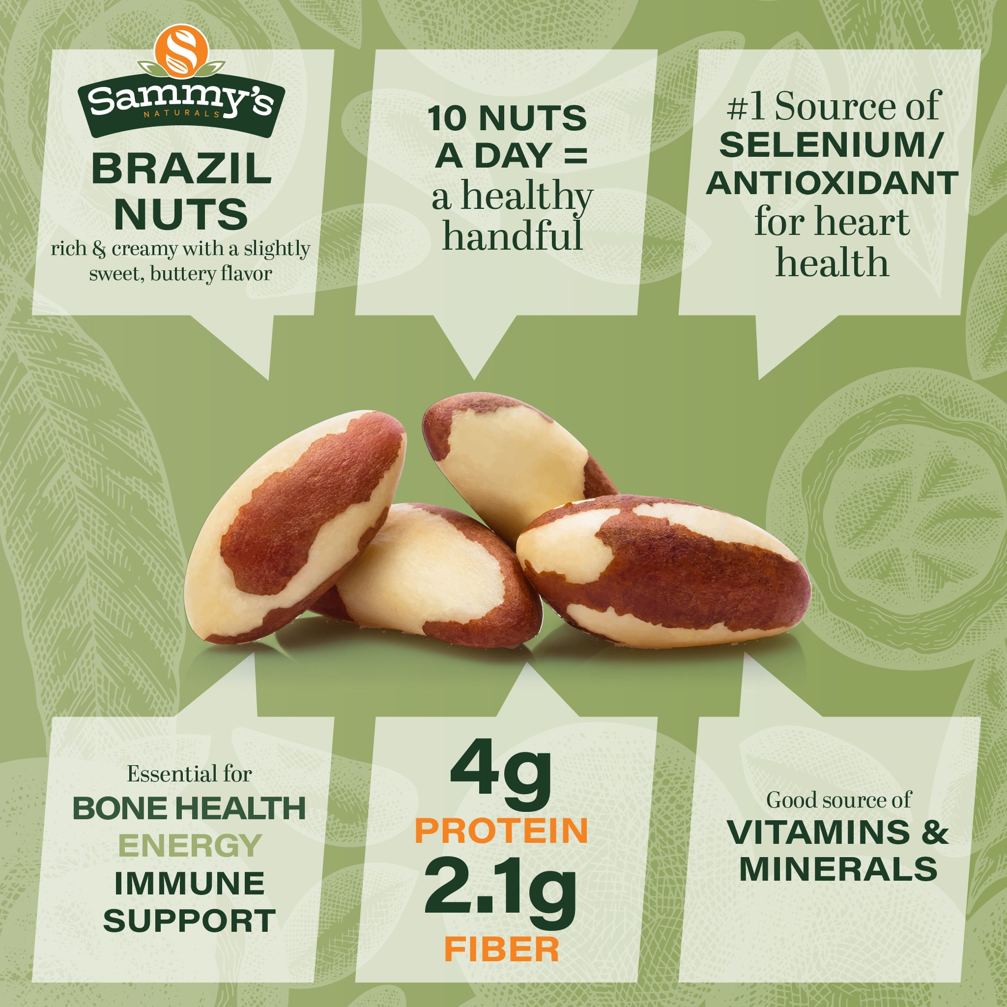 Sammys Raw Brazil Nuts, Unsalted Whole Brazilian Nuts, High in Selenium, Non-GMO, Kosher, Gluten-Free, Resealable Bag (16oz - 1 lb)