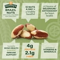 thumbnail image 6 of Sammys Raw Brazil Nuts - Rich Flavor Brazilian Nuts, 16 oz, 6 of 8