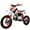 Red, variant on X-Pro Brand New 110cc Dirt Bike, Semi-Automatic Transmission Kick Start Chain Drive 12"/10" Wheels