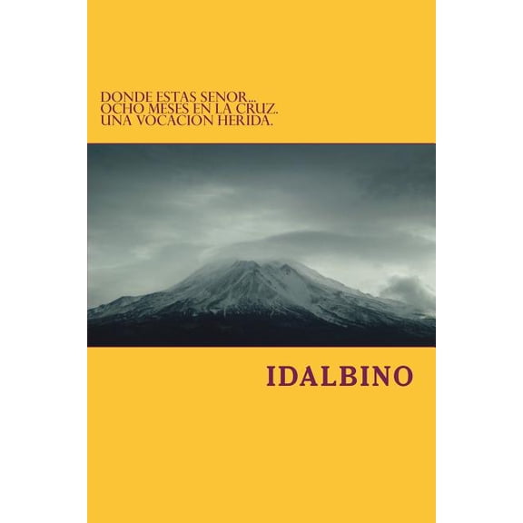 Donde estas Senor...: Ocho meses en la cruz. Una vocacion herida (Paperback)