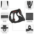thumbnail image 3 of Vsdgher Red And Black Abstract Skull Pattern Dog Harness,No Pull Pet Harness with Soft Padded Handle,Adjustable Reflective Vest with 2 Buckles,4 Slide Buckles,S-XL Small, 3 of 5