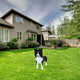 thumbnail image 2 of Maceta de perro de dibujos animados, maceta ensamblable para perro, maceta de jardín de razas de perros, maceta de flores DIY, adorno decorativo para el hogar, D, 2 of 5