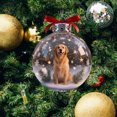 thumbnail image 3 of 2026 Wildlife Wonders Collection Crystal Acrylic Ornament, Vivid 2D Flat Animal Woodland Christmas Ornaments, Clear Christmas Balls, Western Christmas Tree Ornaments, 3 of 6
