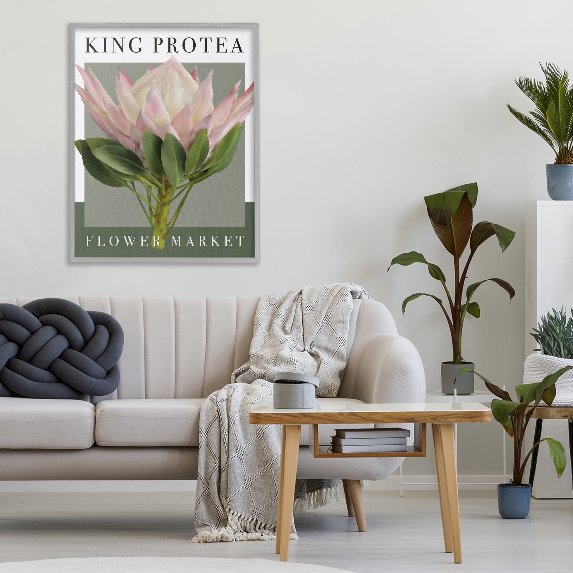 Stupell Industries King Protea Flower Market Gray Framed Giclee Art, design by Jennifer Stith