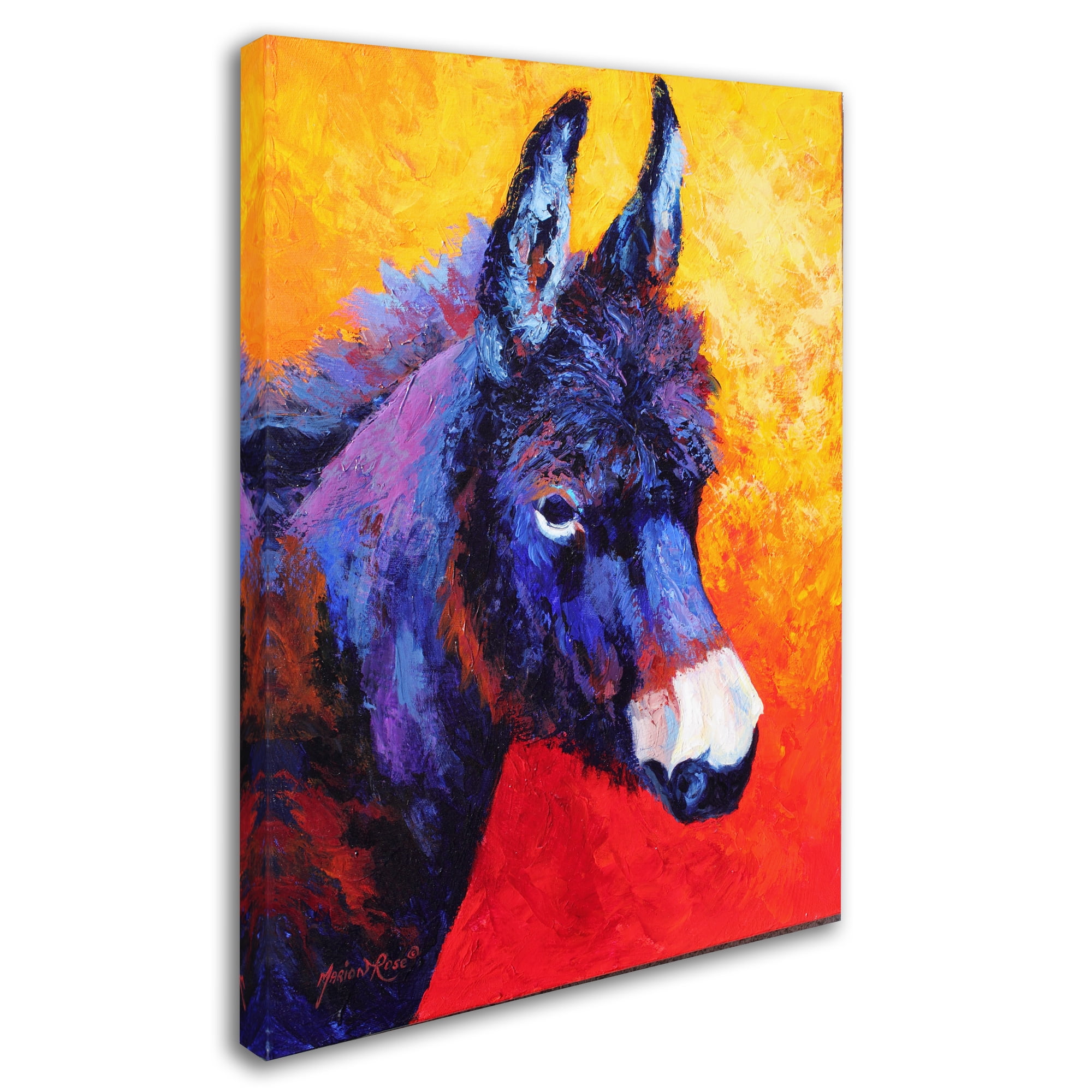 Marion Rose 'Donkey IVX' Canvas Art