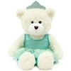 Valentine's Day 16" Teddy Bear Princess with TuTu Dress