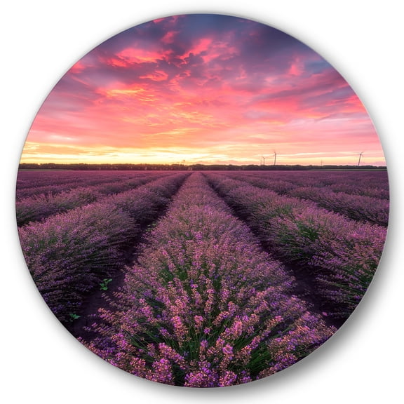Designart 'Dramatic Clouds and Sunrise Over Lavender Field XIV' Farmhouse Circle Metal Wall Art 36x36 - Disc of 36