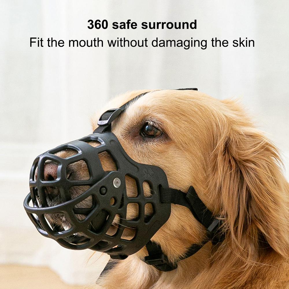How Do You Muzzle Train An Aggressive Dog