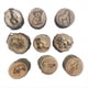 thumbnail image 1 of 9 Uds. Sellos con de Animales, Molde Grabado Madera, Juguetes para Niños, Suelo Fangoso, Campo Nevado, Bosque Estampado Pasos, 1 of 5