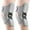 Gray*2, variant on Knee Assistive Device, Knee Booster, Knee Booster Brace Joint Support Spring Stabilizer, for Climbing and Squatting