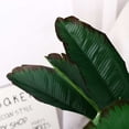thumbnail image 5 of 32" Greenery Living Room Tropical Fake Plant Faux Banana Tree Home Decoration Artificial Palm RED EDGE, 5 of 8