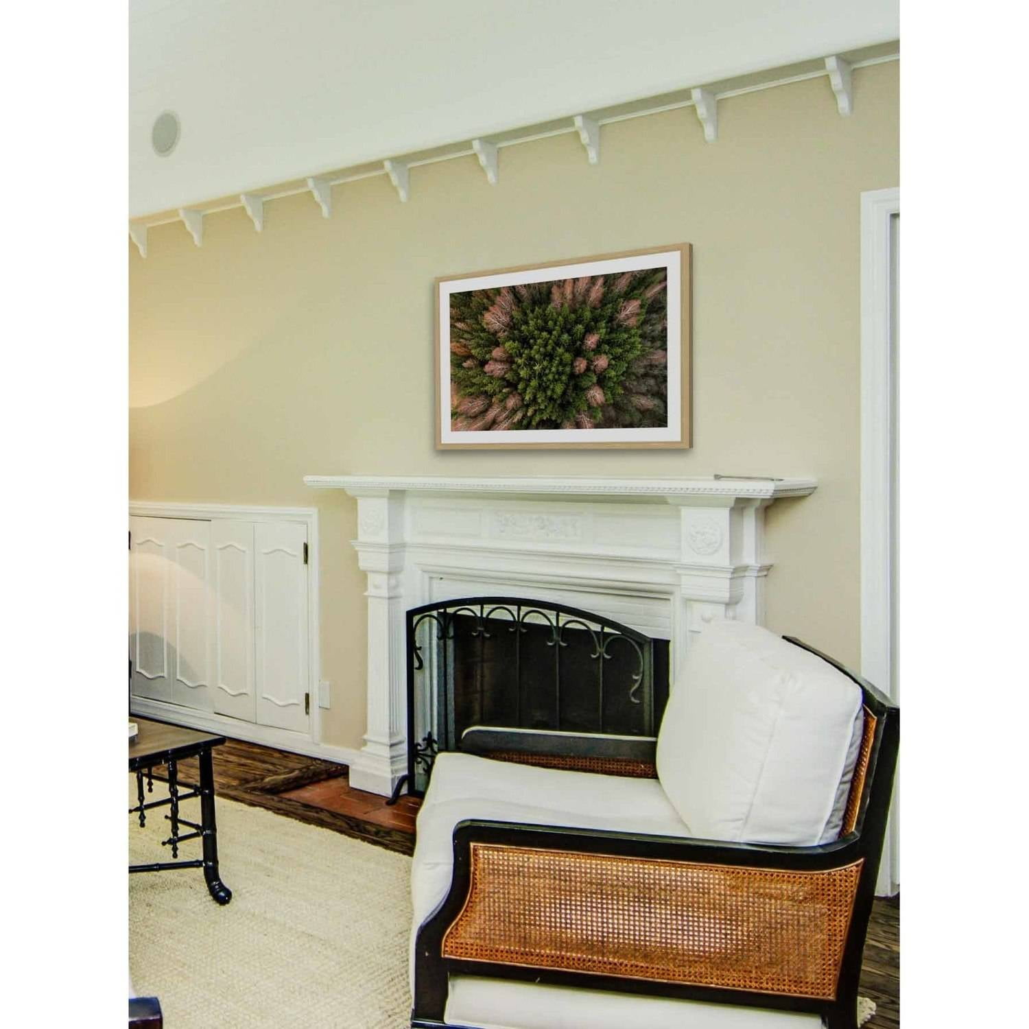 Marmont Hill "Feather Trees" By Karolis Janulis Framed Painting Art Print, 18.0" x 1.5"