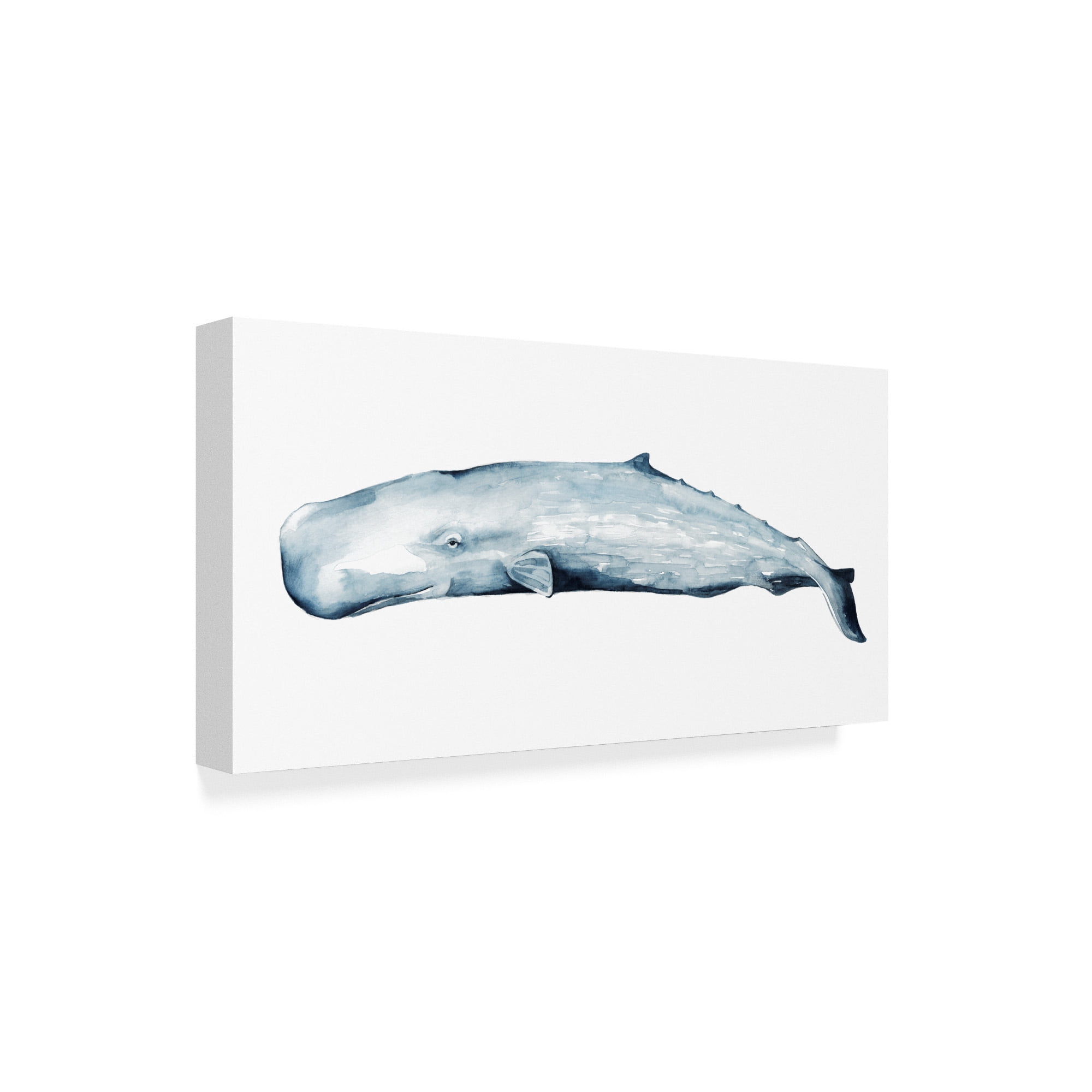 Trademark Fine Art 'Whale Portrait II' Canvas Art by Grace Popp