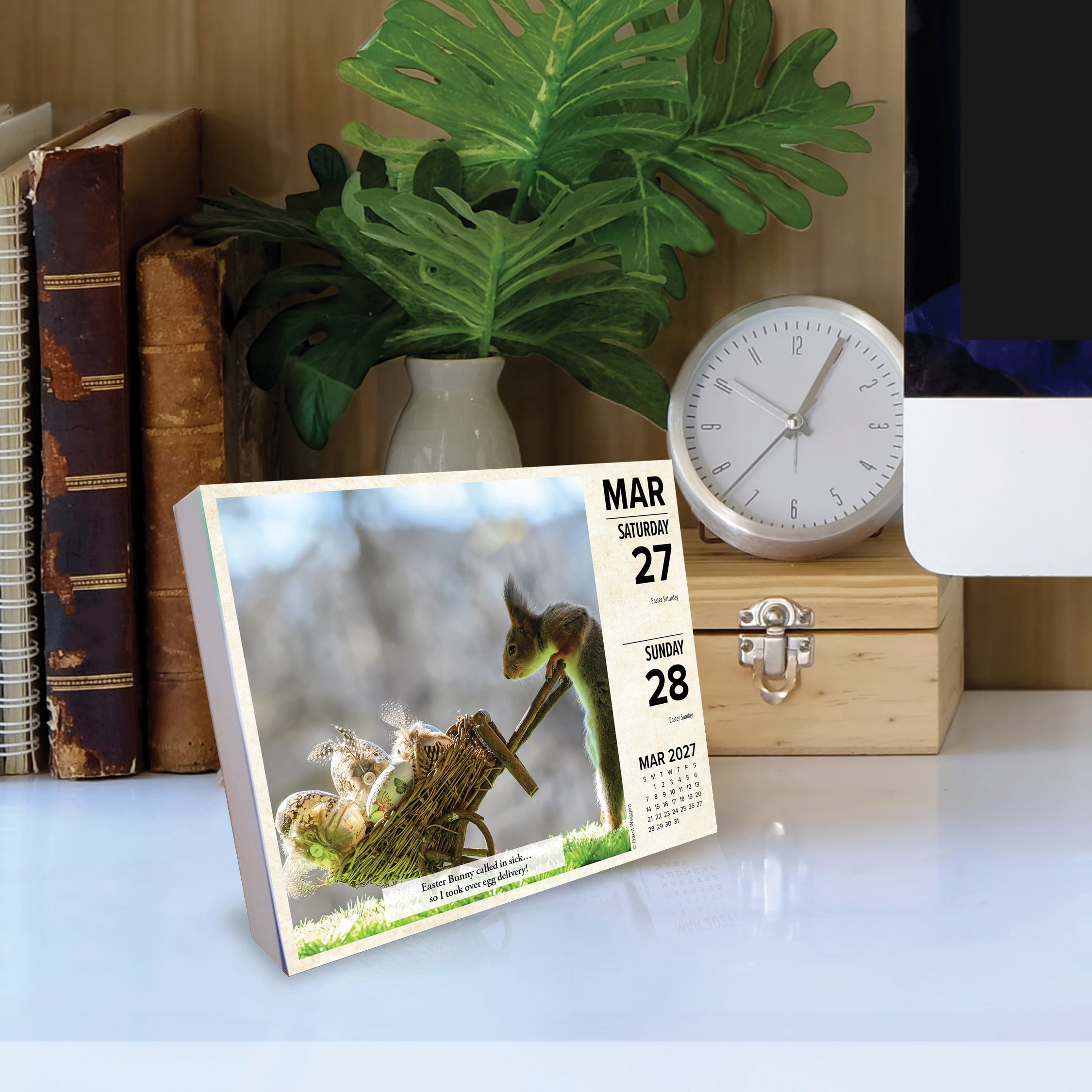Willow Creek Press, Gettin' Squirrelly 2027 Box Calendar