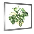 thumbnail image 2 of Designart 'Tropical Green Leaves On White In Summer Times I' Tropical Framed Art Print, 2 of 4