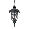 thumbnail image 1 of Acclaim 2126BK Naples Collection Lanterne Suspendue Luminaire Extérieur 3 Lumières, Noir Mat, 1 of 1