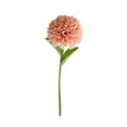 thumbnail image 4 of Baohd 1/2/3/5 10pack/lot Realistic Appearance Artificial Flower For Party Decor And Home Decor Light Coffee 5PCS, 4 of 6