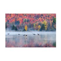William Shi ( 'Autumn' Canvas Art